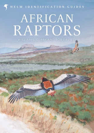 Cover image: African Raptors 1st edition 9780713665383