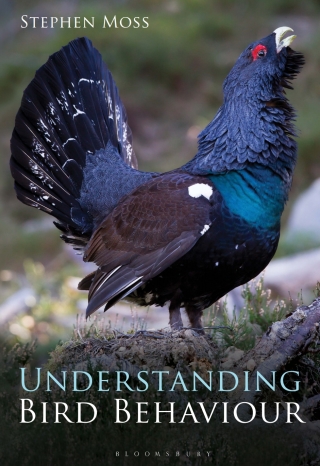 Cover image: Understanding Bird Behaviour 1st edition 9781472912060