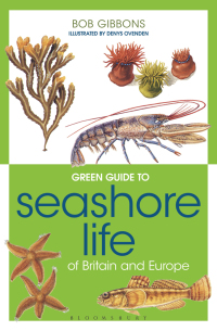 Omslagafbeelding: Green Guide to Seashore Life Of Britain And Europe 1st edition 9781859749265