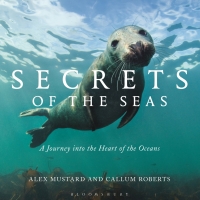 Cover image: Secrets of the Seas 1st edition 9781472927613