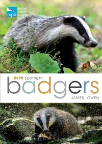 表紙画像: RSPB Spotlight: Badgers 1st edition 9781472971746