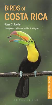Cover image: Birds of Costa Rica 1st edition 9781472971838
