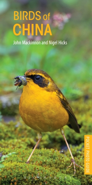 صورة الغلاف: Birds of China 1st edition 9781472932136