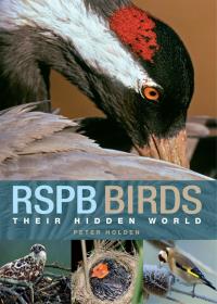 Omslagafbeelding: RSPB Birds: Their Hidden World 1st edition 9781408152621