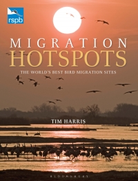 Titelbild: RSPB Migration Hotspots 1st edition 9781408171172