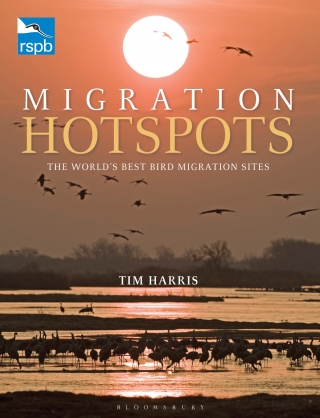 Cover image: RSPB Migration Hotspots 1st edition 9781408171172
