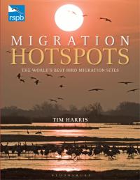 Cover image: RSPB Migration Hotspots 1st edition 9781408171172