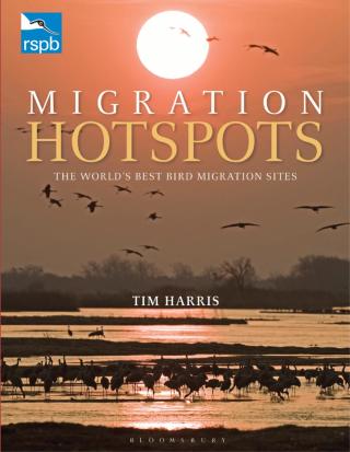 Titelbild: RSPB Migration Hotspots 1st edition 9781408171172