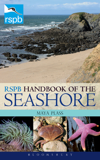 表紙画像: RSPB Handbook of the Seashore 1st edition 9781408178362