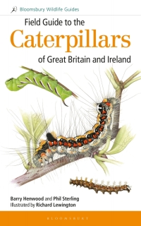 Cover image: Field Guide to the Caterpillars of Great Britain and Ireland 1st edition 9781472933560