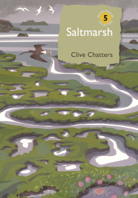 Cover image: Saltmarsh 1st edition 9781472933591