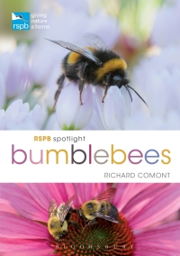 Cover image: RSPB Spotlight Bumblebees 1st edition 9781472966650