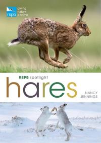 Cover image: RSPB Spotlight Hares 1st edition 9781472933645