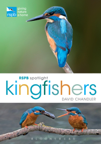 表紙画像: RSPB Spotlight Kingfishers 1st edition 9781472933676