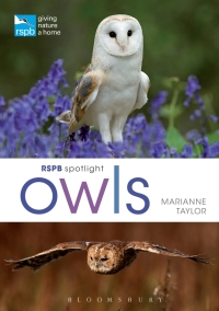 表紙画像: RSPB Spotlight Owls 1st edition 9781472933690