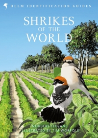 صورة الغلاف: Shrikes of the World 1st edition 9781472933775