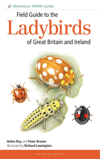 Cover image: Field Guide to the Ladybirds of Great Britain and Ireland 1st edition 9781472935670