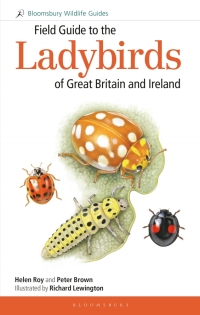 Titelbild: Field Guide to the Ladybirds of Great Britain and Ireland 1st edition 9781472935670