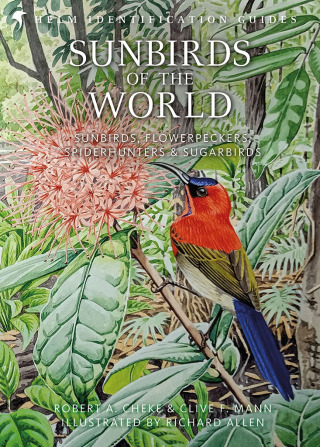 Cover image: Sunbirds of the World 2nd edition 9781472937438