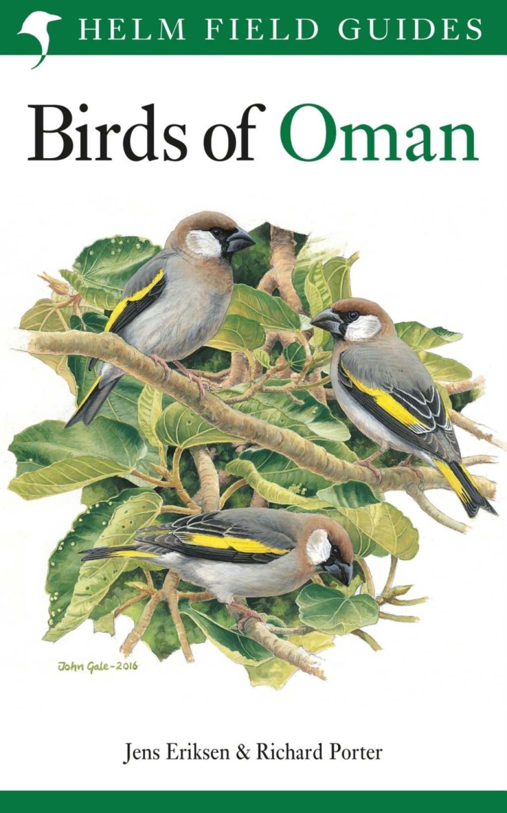 Birds of Oman 1st Edition