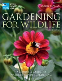 Omslagafbeelding: RSPB Gardening for Wildlife 2nd edition 9781472938572