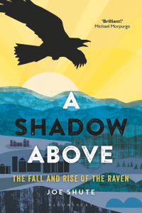 صورة الغلاف: A Shadow Above 1st edition 9781472940292