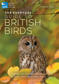 Omslagafbeelding: The Everyday Guide to British Birds 1st edition 9781472941176