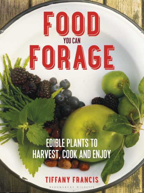 Food You Can Forage: Edible Plants to Harvest, Cook and Enjoy, 1st Edition - FULL INSTANT DOWNLOAD | PDF DOCX EPUB