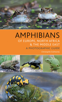 表紙画像: Amphibians of Europe, North Africa and the Middle East 1st edition 9781472941374