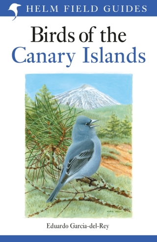 Cover image: Field Guide to the Birds of the Canary Islands 1st edition 9781472941558