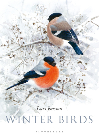 Imagen de portada: Winter Birds 1st edition 9781472962010