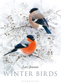 Cover image: Winter Birds 1st edition 9781472962010
