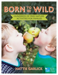 Immagine di copertina: Born to Be Wild 1st edition 9781472915337