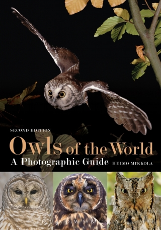 Immagine di copertina: Owls of the World - A Photographic Guide 2nd edition 9781472905932