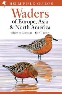 Cover image: Waders of Europe, Asia and North America 1st edition 9780713652901