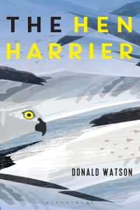 Cover image: The Hen Harrier 1st edition 9781472946140