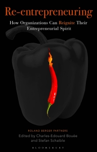 صورة الغلاف: Re-Entrepreneuring 1st edition 9781472948243