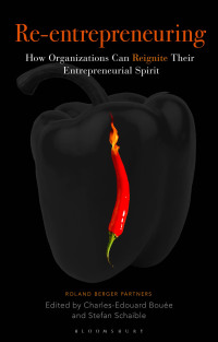 Cover image: Re-Entrepreneuring 1st edition 9781472948243