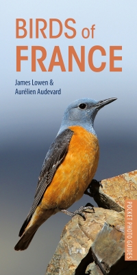 Titelbild: Birds of France 1st edition 9781472949011