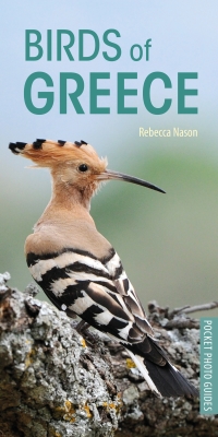 Cover image: Birds of Greece 1st edition 9781472949035