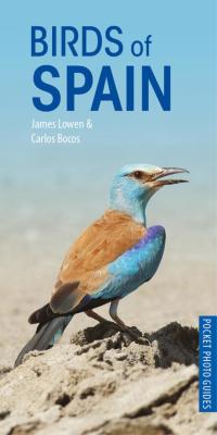 Omslagafbeelding: Birds of Spain 1st edition 9781472949271