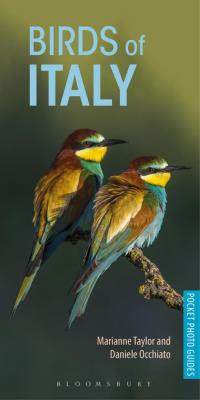 Omslagafbeelding: Birds of Italy 1st edition 9781472949820