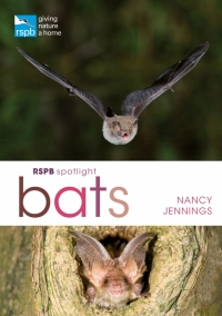 Imagen de portada: RSPB Spotlight Bats 1st edition 9781472950055