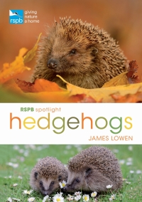 Cover image: RSPB Spotlight Hedgehogs 1st edition 9781472950086
