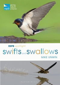Omslagafbeelding: RSPB Spotlight Swifts and Swallows 1st edition 9781472950116