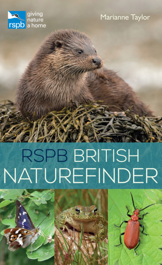 Omslagafbeelding: RSPB British Naturefinder 1st edition 9781472951274