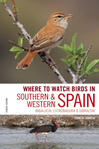 表紙画像: Where to Watch Birds in Southern and Western Spain 4th edition 9781472951847
