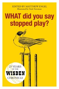 Cover image: WHAT Did You Say Stopped Play? 1st edition 9781472954381