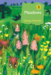 Cover image: Meadows 1st edition 9780956490247