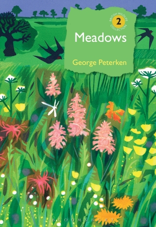 Cover image: Meadows 1st edition 9780956490247